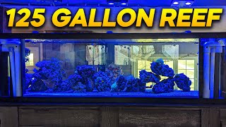 125 Gallon Reef Salt Tank  Dec 2022 [upl. by Faxun]