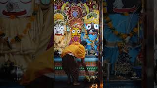 Jay jagannath [upl. by Yrmac801]