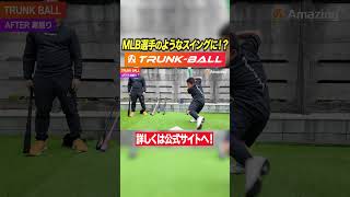 【小学生も大絶賛】ムーキー・ベッツのようなスイング！？打撃力を上げるにはパームアップを習得しよう！ [upl. by Lanti]