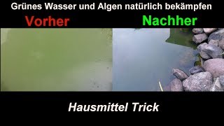 Algen im Gartenteich natürlich amp effektiv mit Hausmitteln bekämpfen Klares Teich Wasser ohne Chemie [upl. by Jacklin]