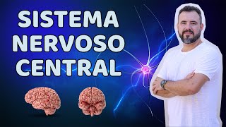 Sistema Nervoso Central Anatomia e Fisiologia [upl. by Elimaj]