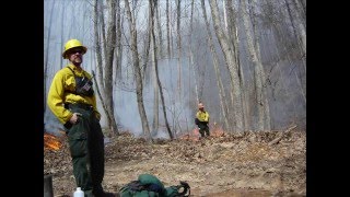 Montvale Va Forest Fire [upl. by Prager]