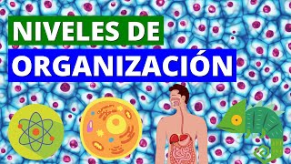 Niveles de Organización de la Materia Viva [upl. by Aikin]