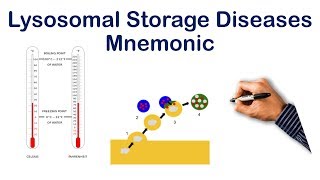 Lysosomal Storage Diseases Tricks Pt 1  USMLE STEP COMLEX NCLEX [upl. by Bendite]