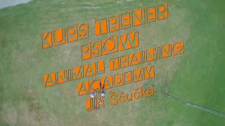 Kurs Trener Psów Jiri Scucka Animal Training Academy edycja 2017 [upl. by Sana757]