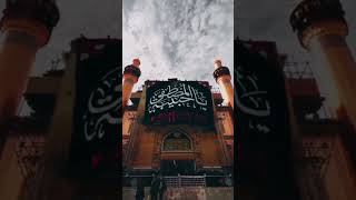 Ayyam e Fatima  noha status  shia ya zehra  karbala  ytshort [upl. by Cramer760]