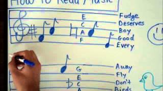 How to Read Music  Basics for Beginners  Music Theory Lesson [upl. by Joachima]