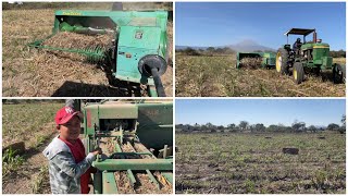 Hoy tocó empacar pacas de rastrojo de sorgo [upl. by Aihgn]