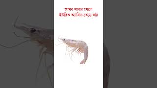 কোন কোন খাবারে ইউরিক অ্যাসিড বাড়ে 11 Foods That Increase Uric Acid Levels  Dr S A Mallick [upl. by Siravart]