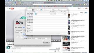 Download amp Convert Video using YTD [upl. by Sathrum]