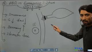 Forms and Functions of Plants lecture 8 Plant Hormones and Movement [upl. by Analad207]