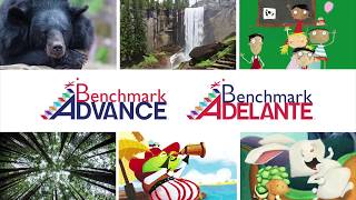 Benchmark Advance and Benchmark Adelante Overview [upl. by Warfore541]