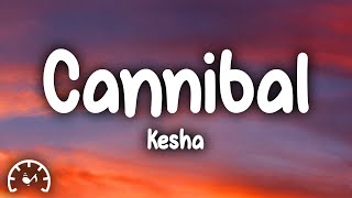 Kesha  Cannibal Lyrics [upl. by Ttelracs952]