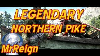 Red Dead Redemption 2  Hunting The Legendary Northern Pike  Quest Playthrough [upl. by Delsman]