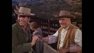 Bonanza  The Hayburner  Western TV Series  Cowboys  Full Episode  English [upl. by Ilowell]