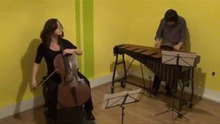 Duo Vibravio Astor Piazzolla  Escualo [upl. by Ludwig]