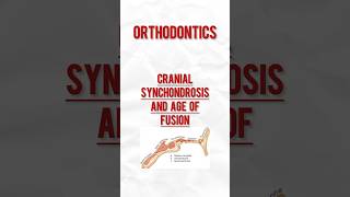 Synchondrosis orthodontist cranial [upl. by Towrey]