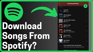 How To Download Songs From Spotify  Full Guide [upl. by Strep]