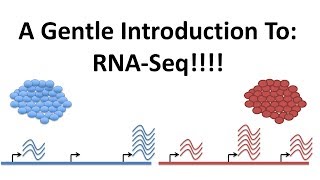 StatQuest A gentle introduction to RNAseq [upl. by Chariot191]