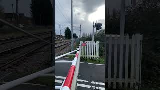 Watlington Road Level crossing Norfolk NEW LEDs [upl. by Minier]