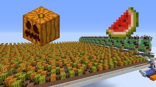 Cheap Large Scale MelonPumpkin Farm [upl. by Hteboj104]