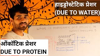 WHAT IS HYDROSTATIC AND ONCOTIC OR OSMOTIC PRESSURE इन हिंदी [upl. by Samau78]