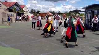 Twiglet  Ely amp Littleport Riot and Coton Morris Men 20140108 [upl. by Behnken]