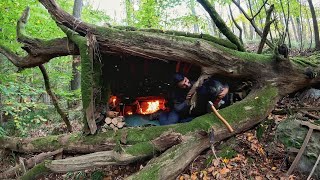 7 Days Solo Survival Camping In Rain Forest Building Warm Bushcraft Shelter Clay Fireplace Cooking [upl. by Darill999]