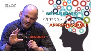 Pascal Benquet Les mécanismes cérébraux des apprentissages [upl. by Ediva112]