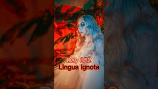 Where do you start with Lingua Ignota [upl. by Eeluj121]