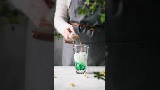 Summer Special Recipe 3  Grasshopper cocktail with mint icecreamheavy cream coconut flakes [upl. by Yehc]