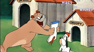 Wags to Riches 1949 MGM Droopy Dog Cartoon Short Film  Review [upl. by Dhaf]