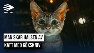 MAN SKAR HALSEN AV KATT MED KÖKSKNIV  HELA RÄTTEGÅNGEN [upl. by Angelis738]