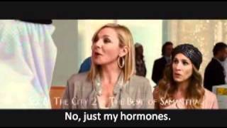 Samantha Sex and the City Menopause Shorter Version [upl. by Olram]