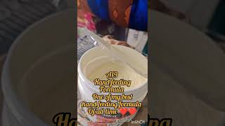 hand feeding formula a19❤️❤️❤️a19 handfeeding parrotinformation birds animals trending viral [upl. by Anor]