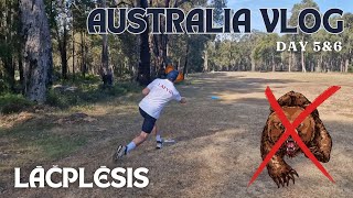 SACENSĪBAS TURPINĀS ĶENGURU MEDĪBAS ARĪ  Austrālijas Vlogs 4 [upl. by Martell760]