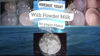 Homemade yogurt from scratch  Yogurt made with powder milk  Yogurt without a yogurt maker [upl. by Acherman]