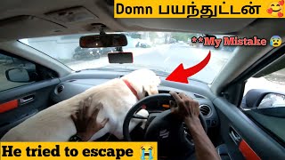 My Mistake 😭 RC390 Bike Broked 💔 Aunty Love 😚 Vlog with Domn [upl. by Ikey]