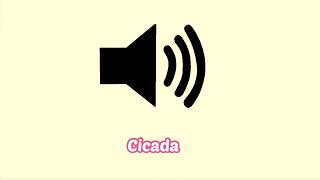 Cicada Sound Effect Insect [upl. by Asta]