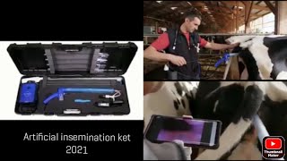 Artificial insemination ket AI Gun for cattle in 2022 Digital [upl. by Aissela]