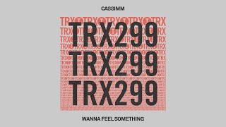 CASSIMM  Wanna Feel Something [upl. by Asare599]