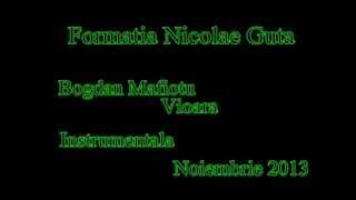 Formatia Nicolae Guta  Bogdan Mafiotu Vioara  Instrumentala  Nov 2013 [upl. by Dranoc]