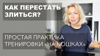 КАК ДЕРЖАТЬ СЕБЯ В РУКАХ  УПРАВЛЕНИЕ ГНЕВОМ ШАГ 1Й РАЗДРАЖЕНИЕ АГРЕССИЯ  ОСОЗНАЕМ И УБИРАЕМ [upl. by Ahsin715]