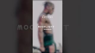 Xxxtentacion  Moonlight 8D AUDIO 🎧 [upl. by Albarran]