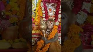 Shaniwar ka Adbhut video dekhiae bhaiyon bahanon like subscribe Jarur Karen [upl. by Babby]