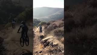 ULTIMATE mtb Roost 😂🤣 [upl. by Asilet]