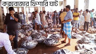 Coxs Bazar Biggest sea fish Market। সস্তায় সামুদ্রিক মাছ কিনতে হলে যেতে হবে কক্সবাজার ফিশারি ঘাট। [upl. by Ennavoj]