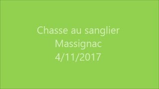 chasse sanglier Massignac le 411 2017 [upl. by Terag]