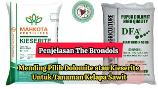 Mending Pilih Dolomite Atau Kieserite [upl. by Mcclain]