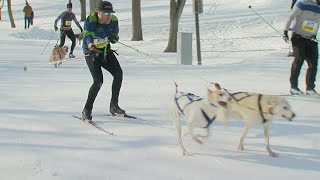 Finding Minnesota Skijoring In The Dog Days Of Winter [upl. by Ahcatan]